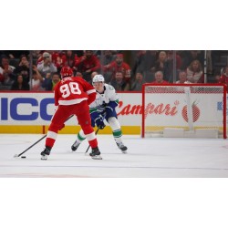 Un autre groupe de joueurs vétérans de plus de 35 ans a quitté les Red Wings de Détroit